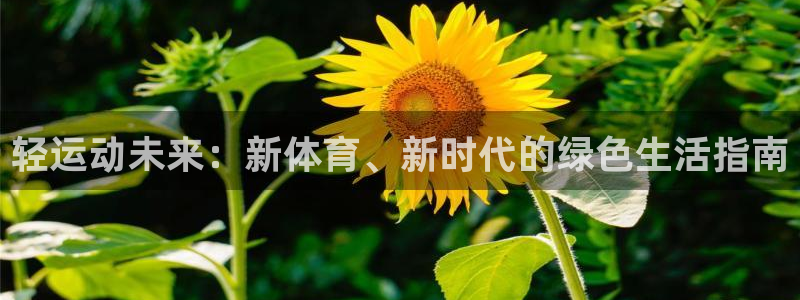 球友会体育直播