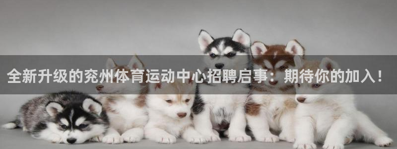 球友会体育官网：全新升级的兖州体育运动中心招聘启事：期待你的加入！