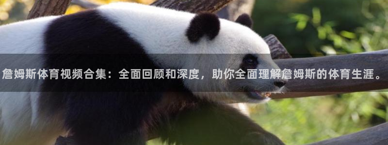 球友会体育直播