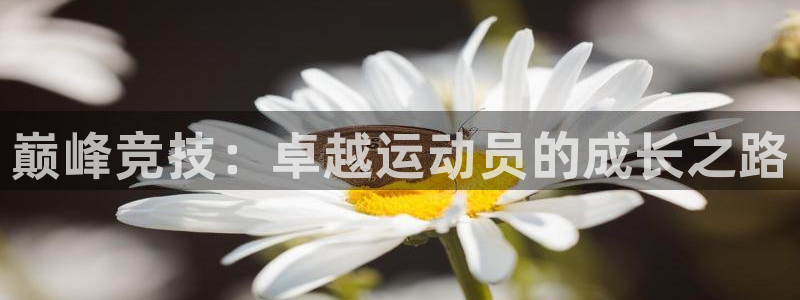 球友会体育最新版下载