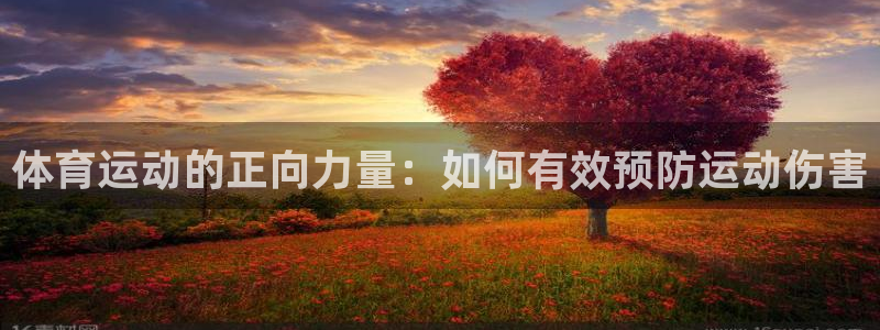 球友会体育