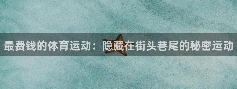 qy球友会体育