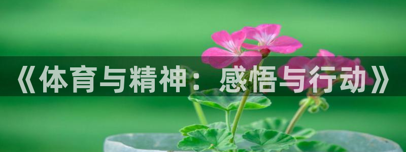 关键词：《体育与精神：感悟与行动》