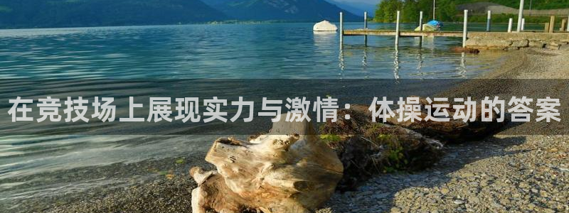 关键词：在竞技场上展现实力与激情：体操运动的答案